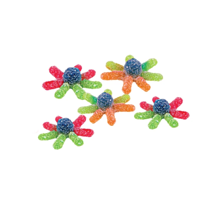 Восьминіжки кислі – жувальний мармелад – 100 грам Trolli (waga110) фото 1